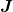 \boldsymbol{J}