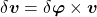 \begin{equation*} \delta\boldsymbol{v}=\delta\boldsymbol{\varphi}\times\boldsymbol{v} \end{equation*}