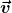 \boldsymbol{\vec{v}}
