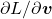 \partial L/\partial \boldsymbol{v}