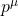 p^{\mu}