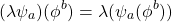\begin{equation*} (\lambda\psi_a)(\phi^b)=\lambda(\psi_a(\phi^b)) \end{equation*}